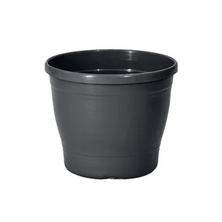 Vaso Plástico Primavera N°04 Nutriplan