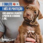 Antipulgas e Carrapatos NexGard para Cães de 4,1 a 10Kg 1 Comprimido Boehringer Ingelheim