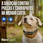 Antipulgas e Carrapatos NexGard para Cães de 4,1 a 10Kg 1 Comprimido Boehringer Ingelheim