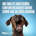 Antipulgas e Carrapatos NexGard para Cães de 4,1 a 10Kg 1 Comprimido Boehringer Ingelheim