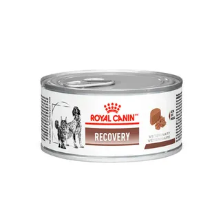Ração Úmida Royal Canin Veterinary Recovery Lata para Cães e Gatos 195g