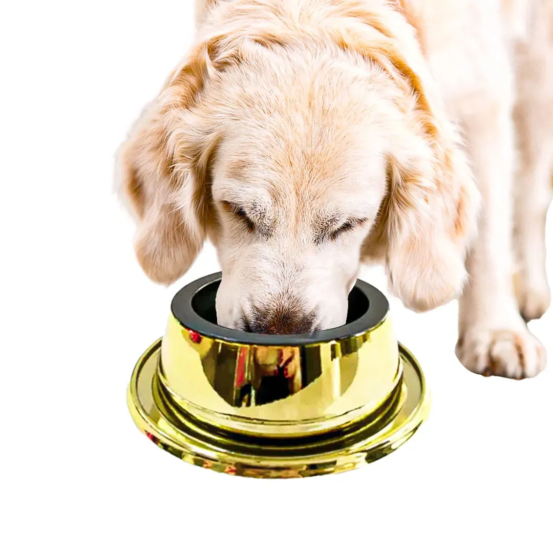 Comedouro Anti-Formiga para Cães Filhotes Ouro Prime 300ml