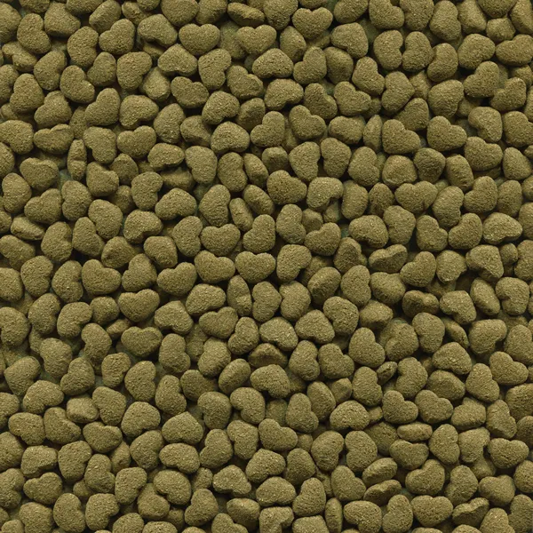 Ração Alcon Club para Porquinho da Índia 500g
