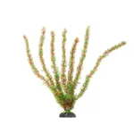 Planta Artificial para Aquários 50cm AP-20 Maxxi (Cores Variadas)