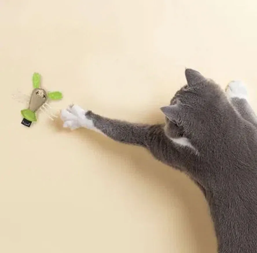 Brinquedo Hunters Lagosta para Gatos Mimo