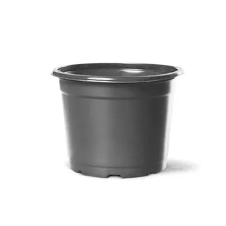 Vaso Plástico N°01 Nutriplan