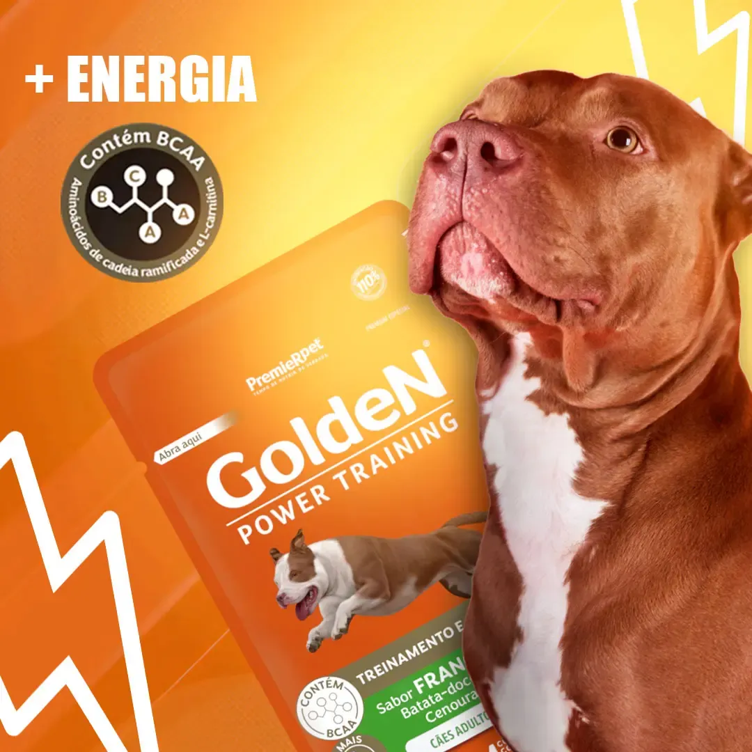 Ração Úmida Golden Gourmet Sachê Power Training Treinamento E