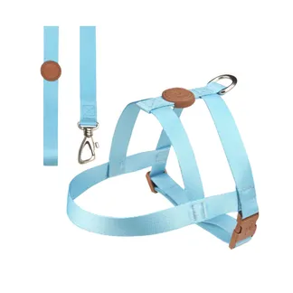 Peitoral com Guia Tradicional para Cães Tamanho P Azul Toh