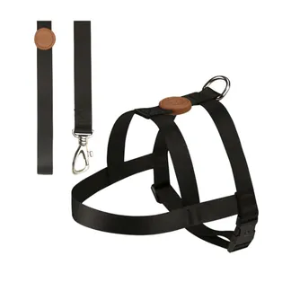 Peitoral com Guia Tradicional para Cães Tamanho G Black Toh