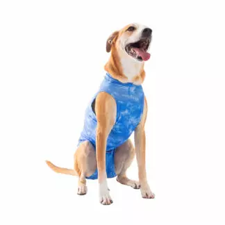 Roupa Pós-Cirúrgica Dry Light Supreme N°09 Azul para Cães (Macho) Pet Med