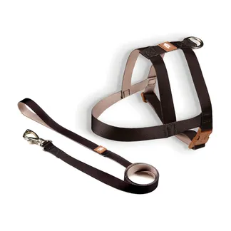 Peitoral com Guia Tradicional para Cães Tamanho M Preto Caqui Toh