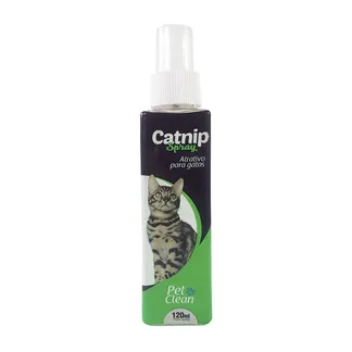 Xispa Gato Auxiliar Educativo 500ml Genial Pet - Terra Zoo