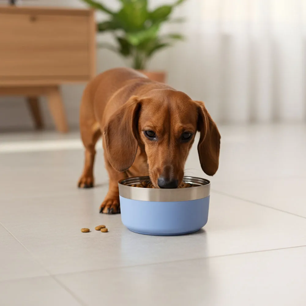 Comedouro Inoxidável Azul Pequeno para Cães GR222959 Pet Next