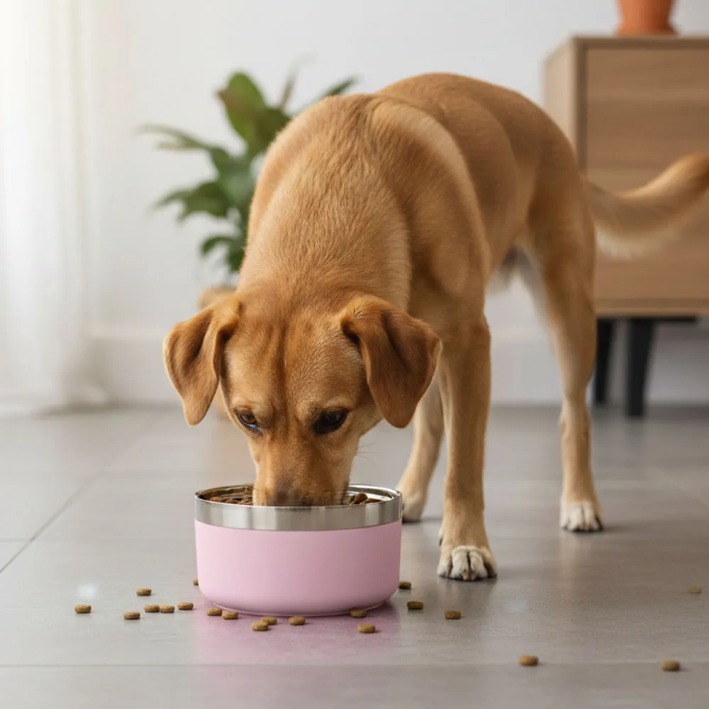 Comedouro Inoxidável Rosa Médio para Cães GR223938 Pet Next