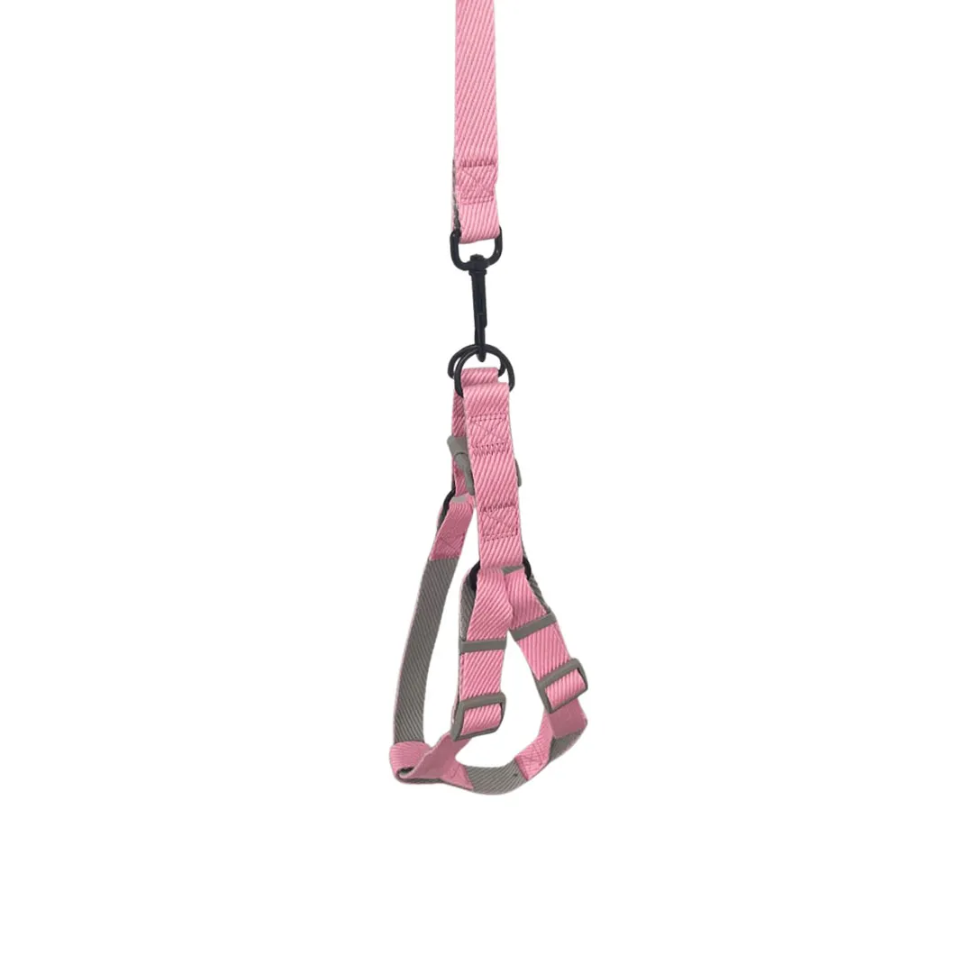 Peitoral Y Rosa com Guia 2,5cm para Cães GR223946 Pet Next