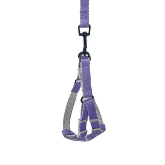 Peitoral Y Violeta com Guia 1,5cm para Cães GR223945 Pet Next