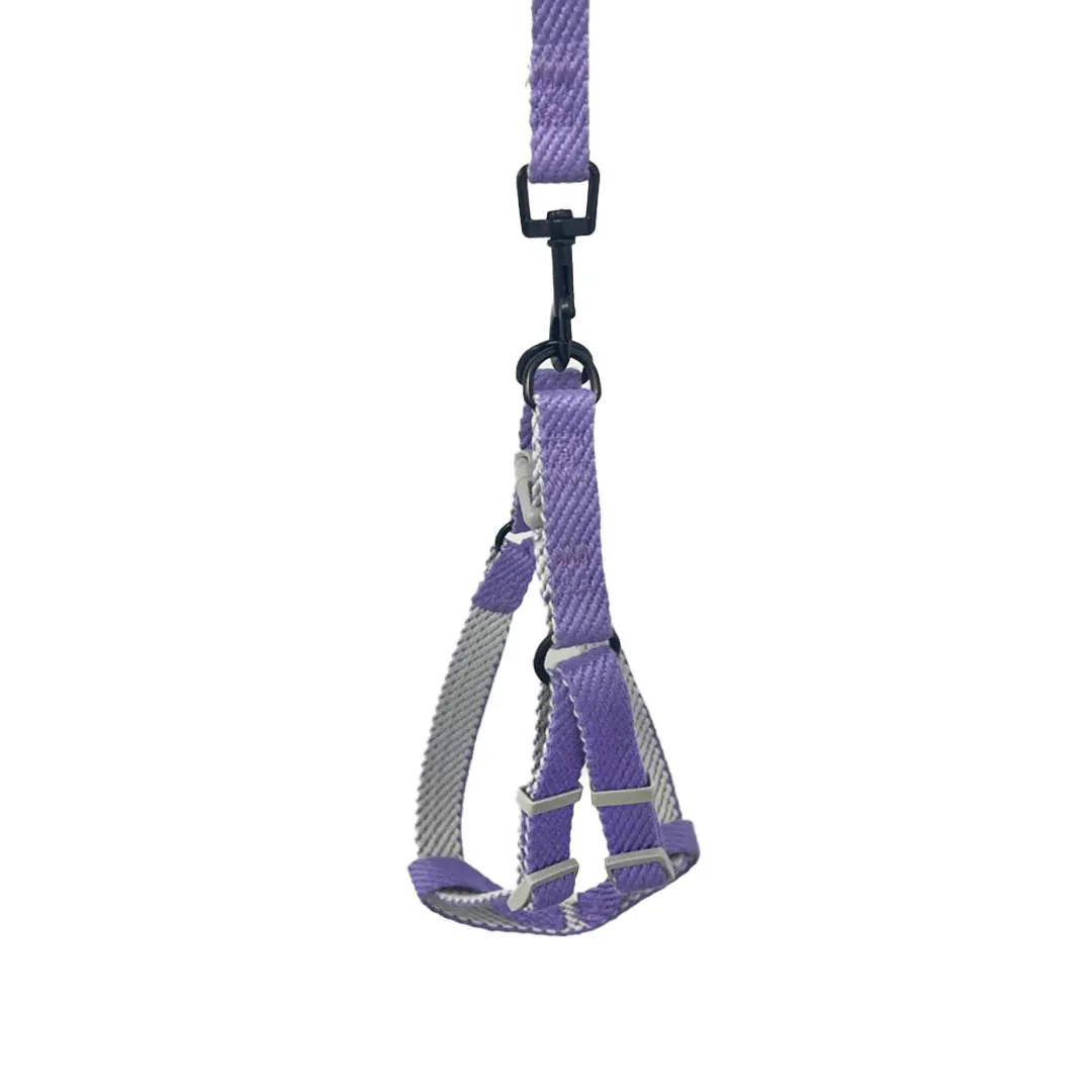 Peitoral Y Violeta com Guia 1,5cm para Cães GR223945 Pet Next