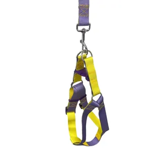 Peitoral Y Violeta Fashion com Guia 2,5cm para Cães GR223952 Pet Next