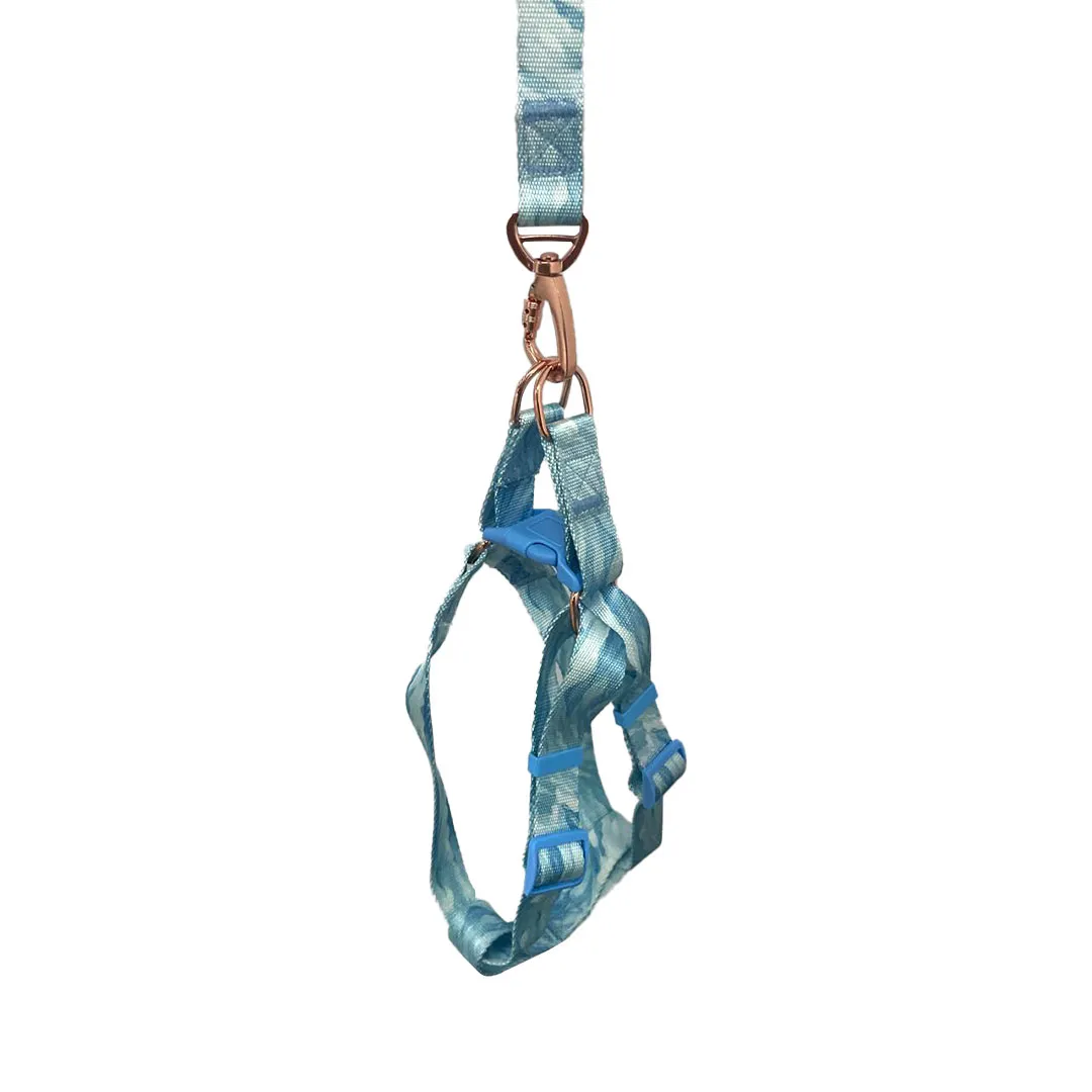 Peitoral Y Azul Céu Fashion com Guia 2,5cm para Cães GR222094 Pet Next