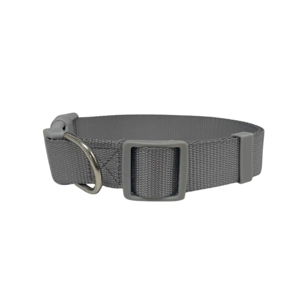 Coleira Cinza 2,5cm para Cães GR223889 Pet Next
