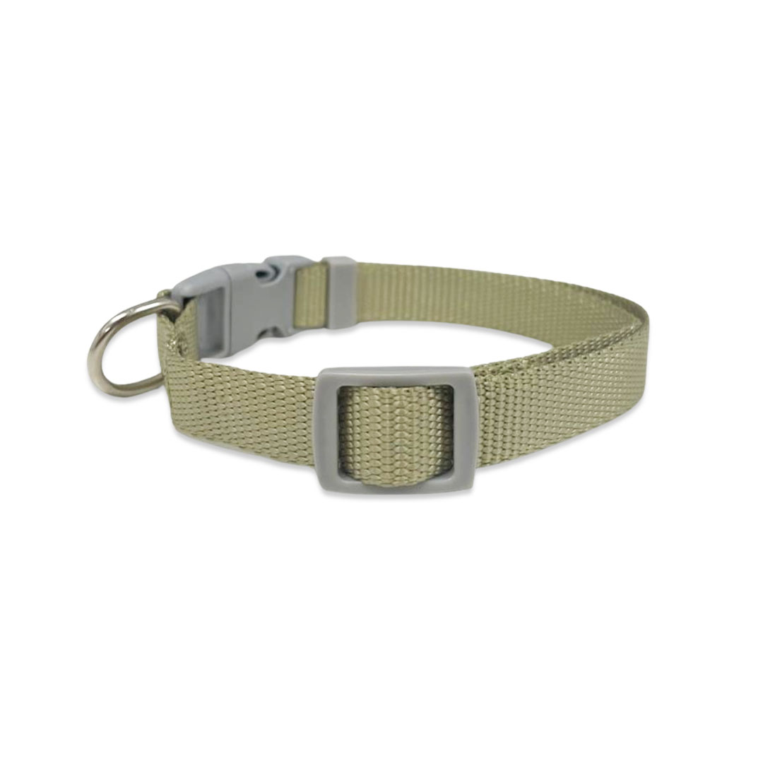 Coleira Verde 1,5cm para Cães GR222073 Pet Next