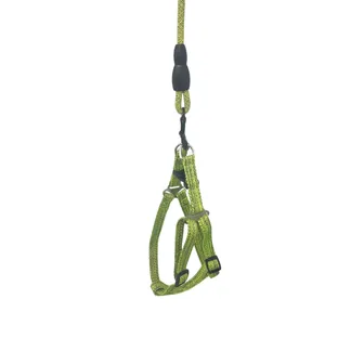 Peitoral Nylon Verde com Guia Corda 0,8cm para Cães GR223901 Pet Next