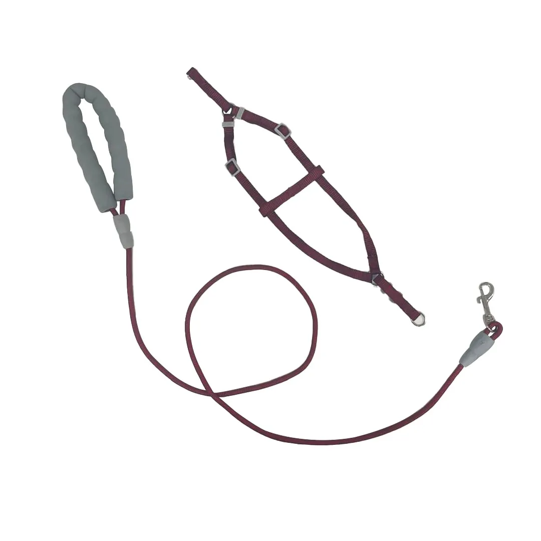 Peitoral Y Vermelho com Guia Corda 6mm para Cães GR222264 Pet Next