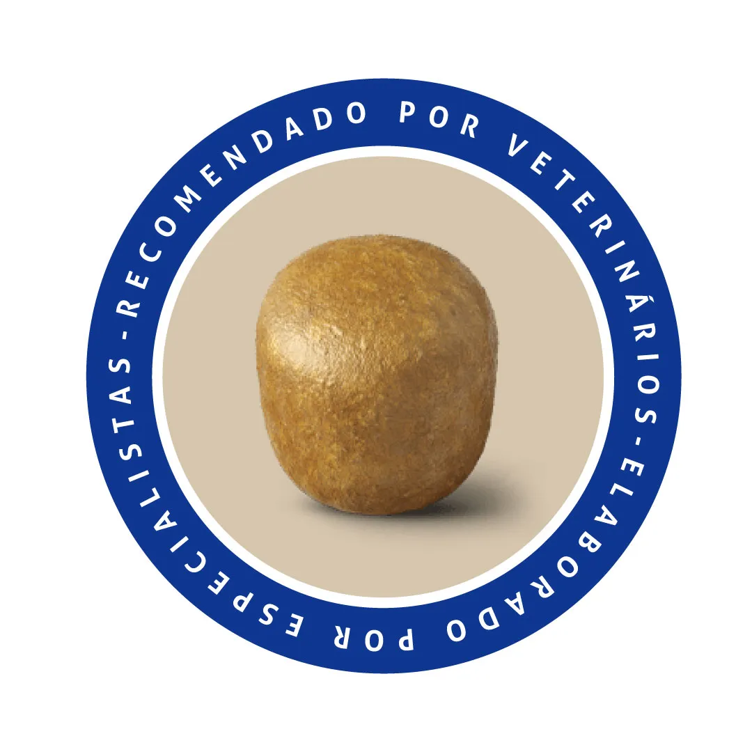 Ração Special Dog para Cães Adultos Sabor Carne 15Kg