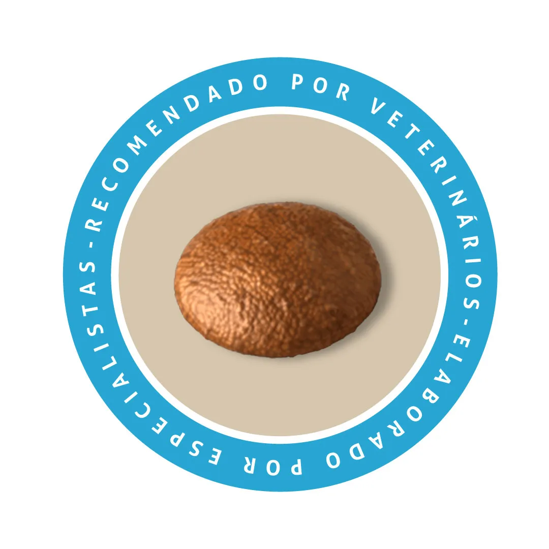 Ração Special Dog Júnior para Cães Filhotes Sabor Carne 1Kg