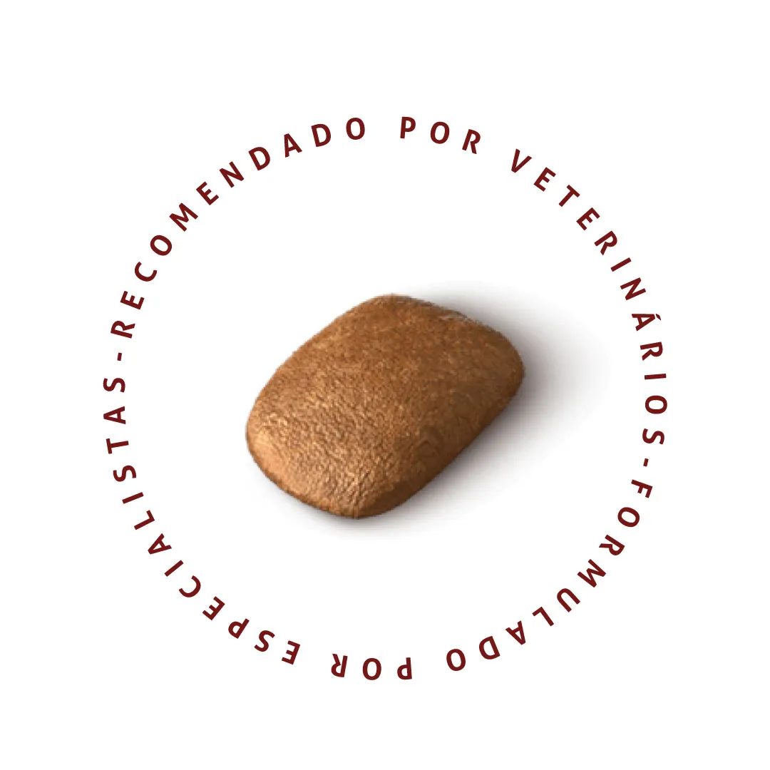 Ração Special Dog Ultralife Júnior para Cães Fillhotes de Raças Pequenas Sabor Frango 10,1Kg