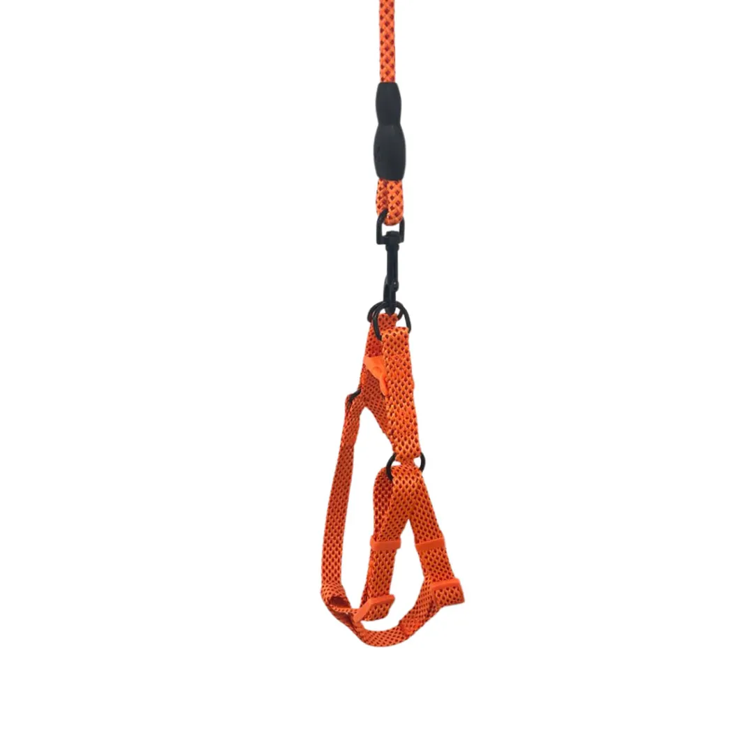 Peitoral com Guia Corda Tamanho M GR210972 Pet Next (Cores Variadas)