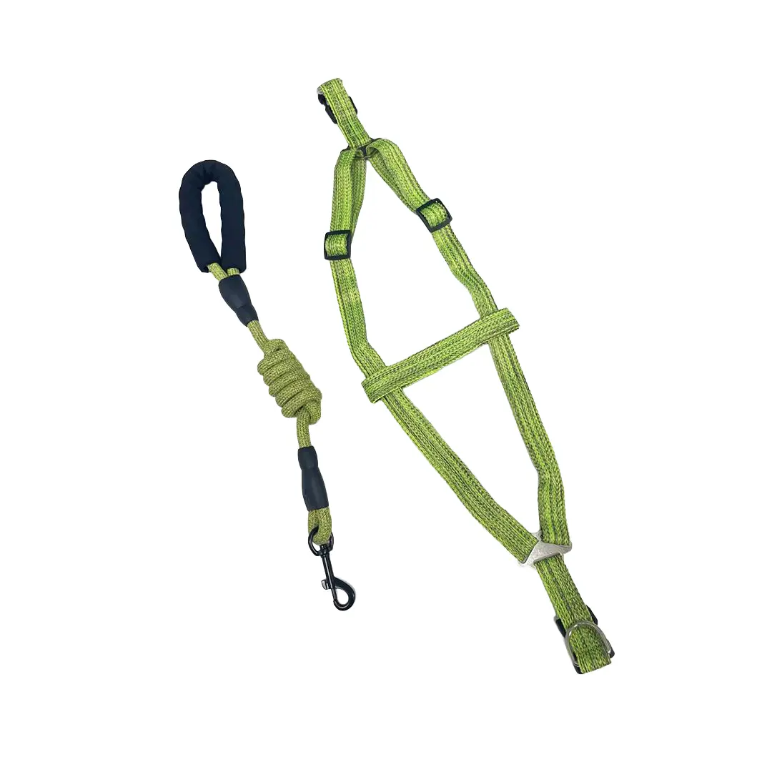 Peitoral Nylon Verde com Guia Corda 1,2cm para Cães GR223903 Pet Next