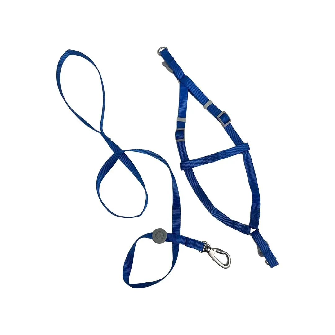 Peitoral com Guia Liso Azul 1,5cm para Cães GR223880 Pet Next