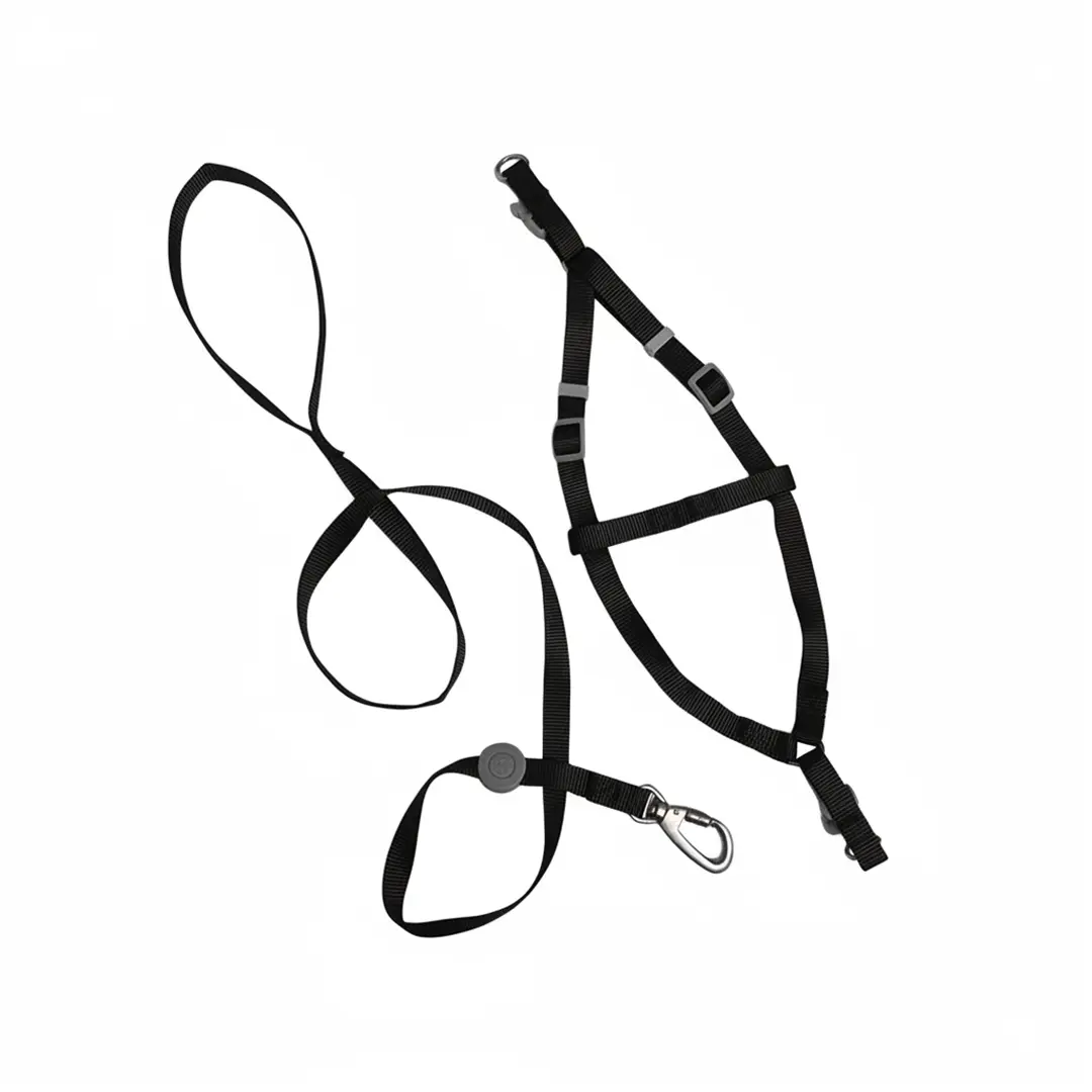 Peitoral com Guia Liso Preto 1,5cm para Cães GR222080 Pet Next