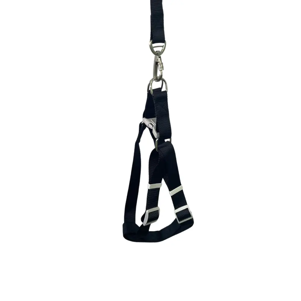 Peitoral com Guia Liso Preto 2,5cm para Cães GR222082 Pet Next