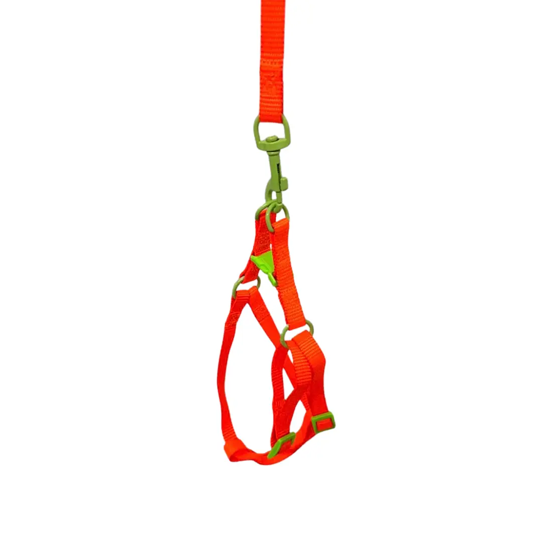 Peitoral Y com Guia Laranja 1.0cm GR223806 para Cães Pet Next