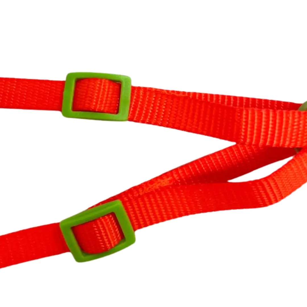 Peitoral Y com Guia Laranja 1.0cm GR223806 para Cães Pet Next