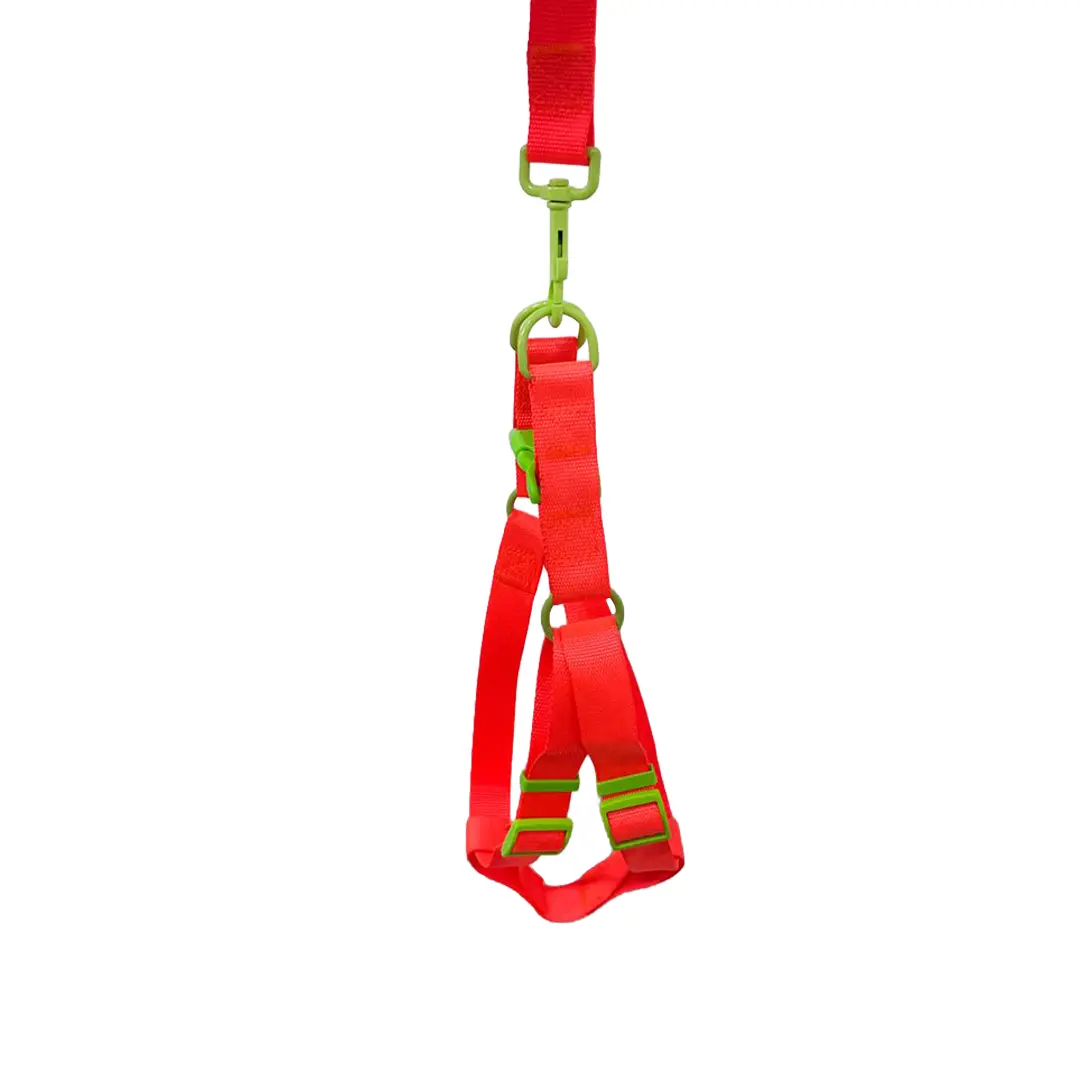 Peitoral Y com Guia Laranja 2,5cm GR223857 para Cães Pet Next
