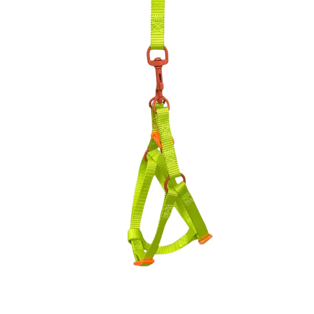 Peitoral Y com Guia Verde 1.0cm GR223957 para Cães Pet Next