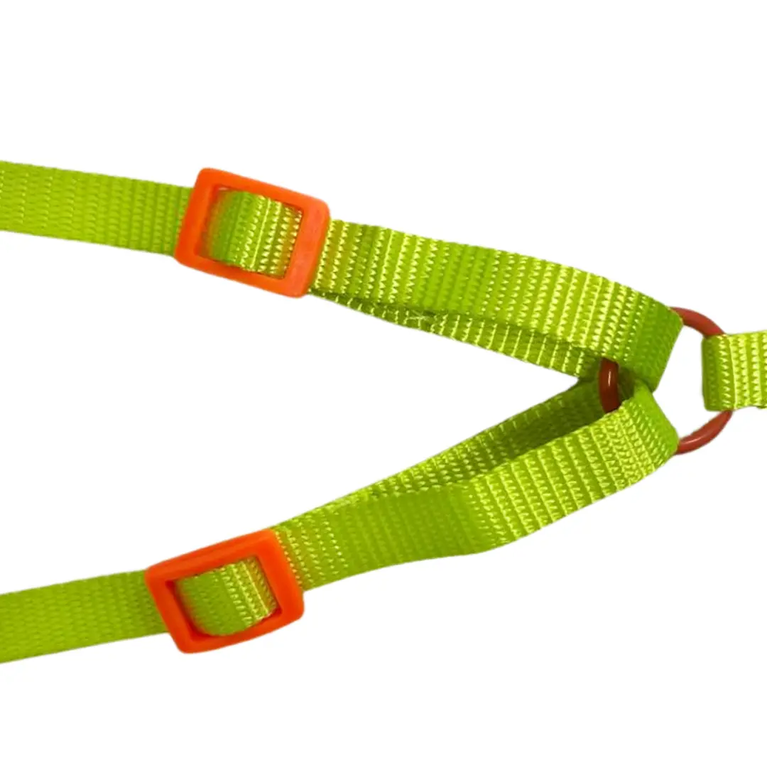 Peitoral Y com Guia Verde 1.0cm GR223957 para Cães Pet Next