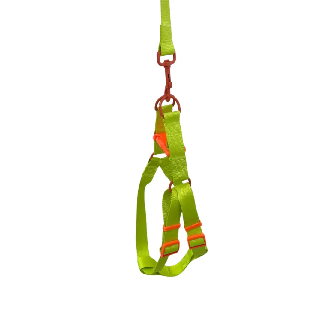 Peitoral Y com Guia Verde 1,5cm GR223856 para Cães Pet Next