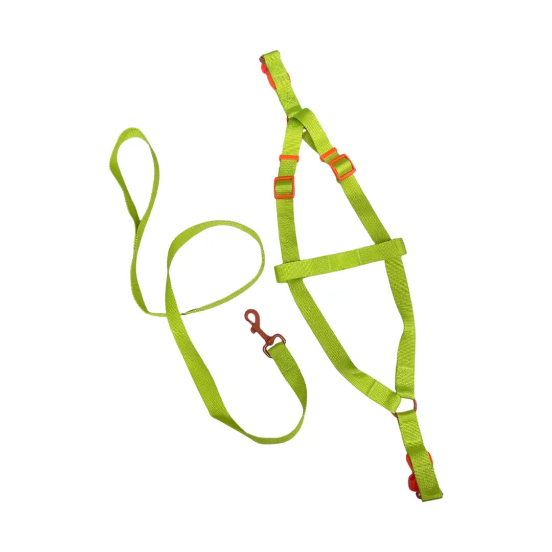 Peitoral Y com Guia Verde 2,5cm GR223858 para Cães Pet Next