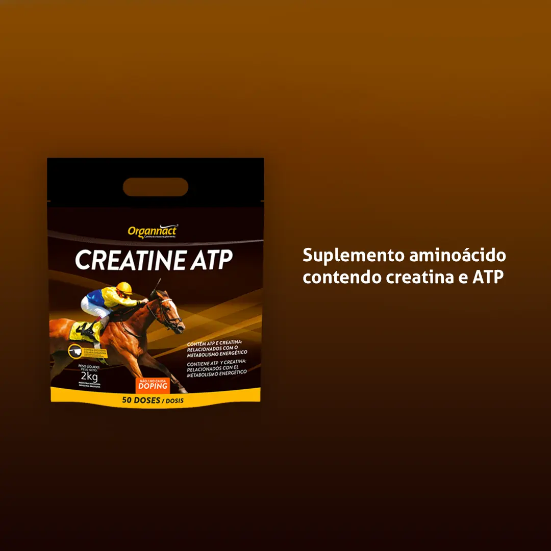 Creatine ATP Sachê 2Kg Organnact