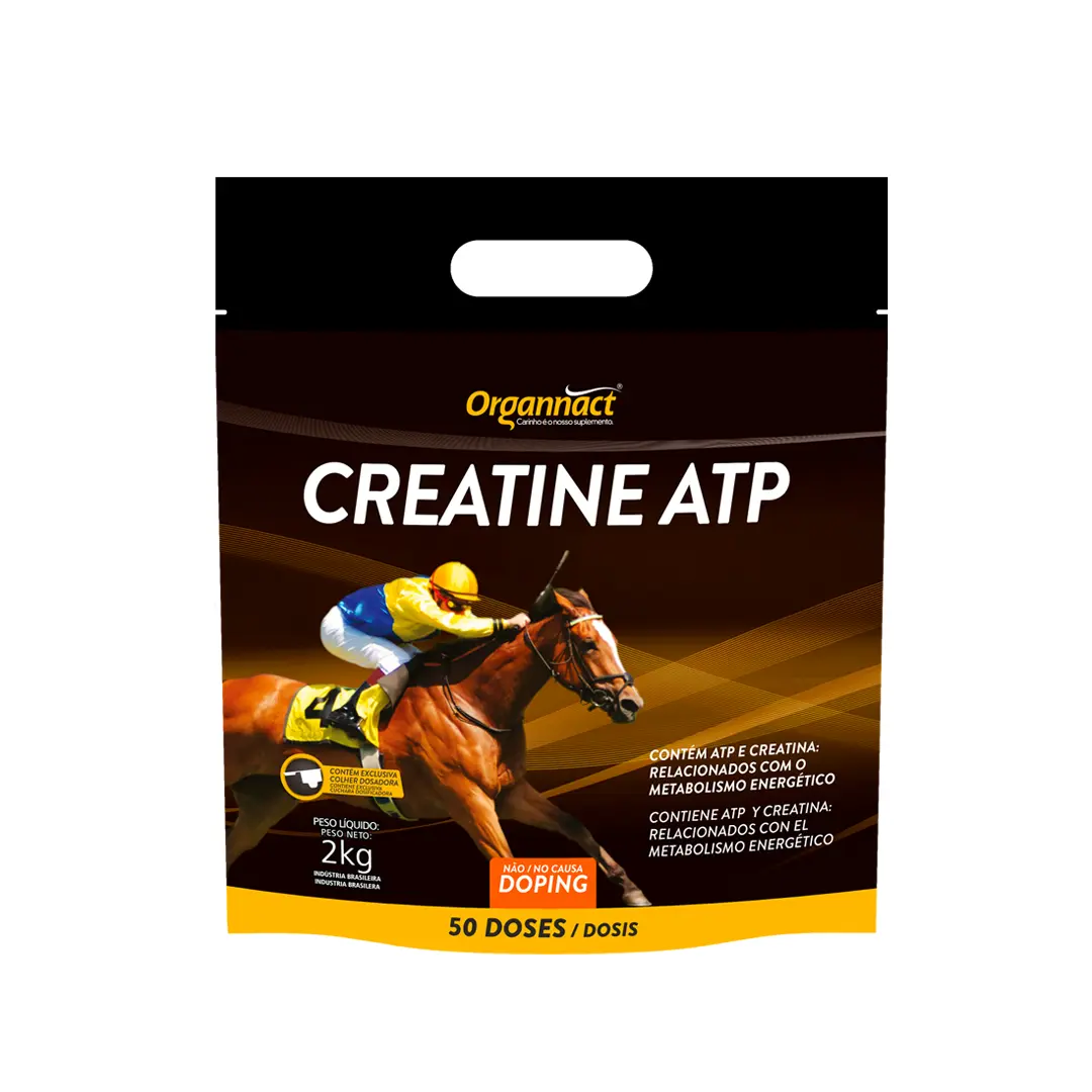 Creatine ATP Sachê 2Kg Organnact