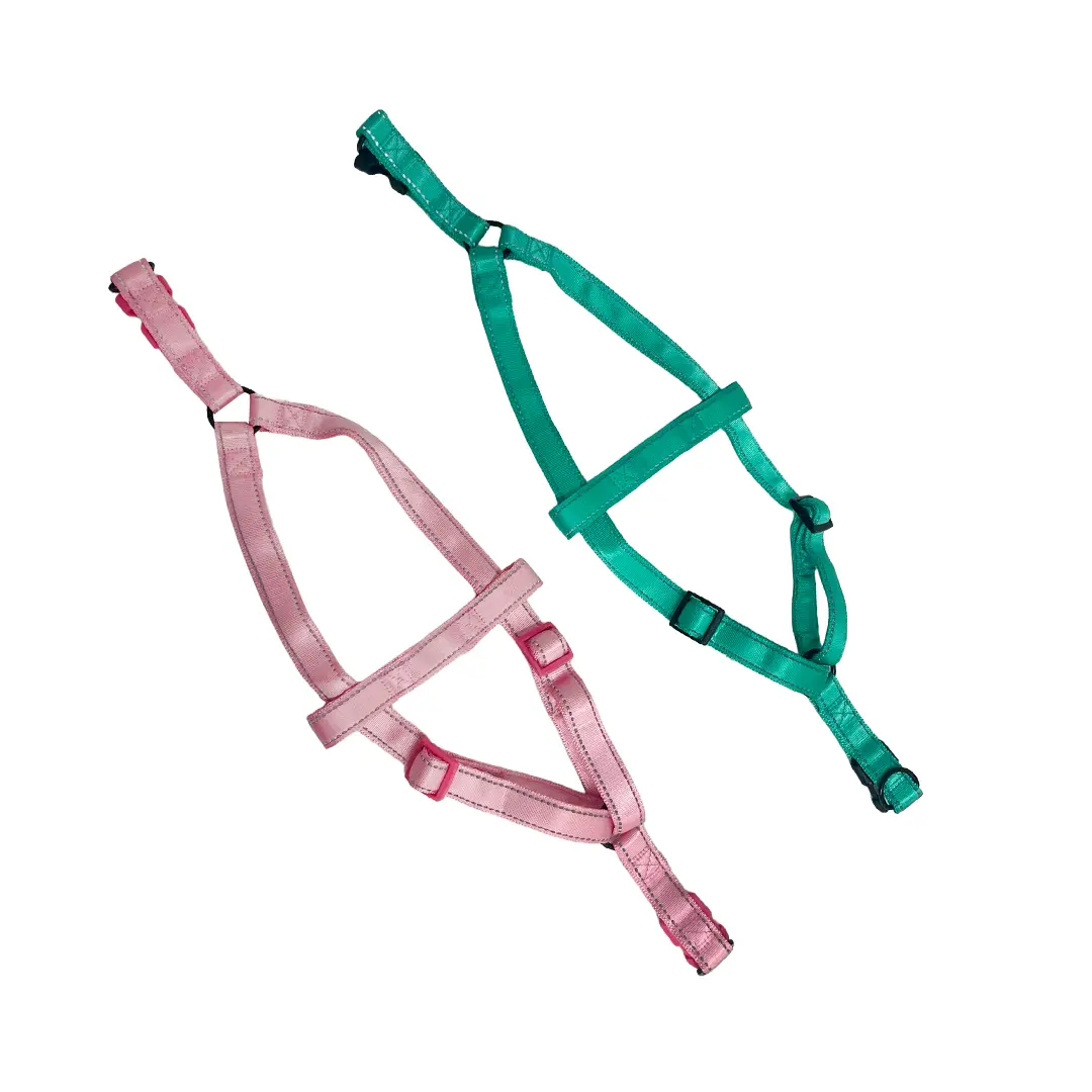 Peitoral Fashion Grande GR210966 Pet Next (Cores Variadas)