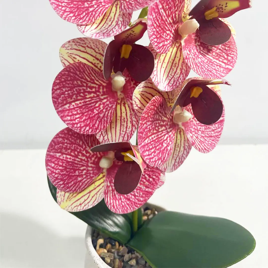 Arranjo Artificial Orquídea GR222574 Quixaba