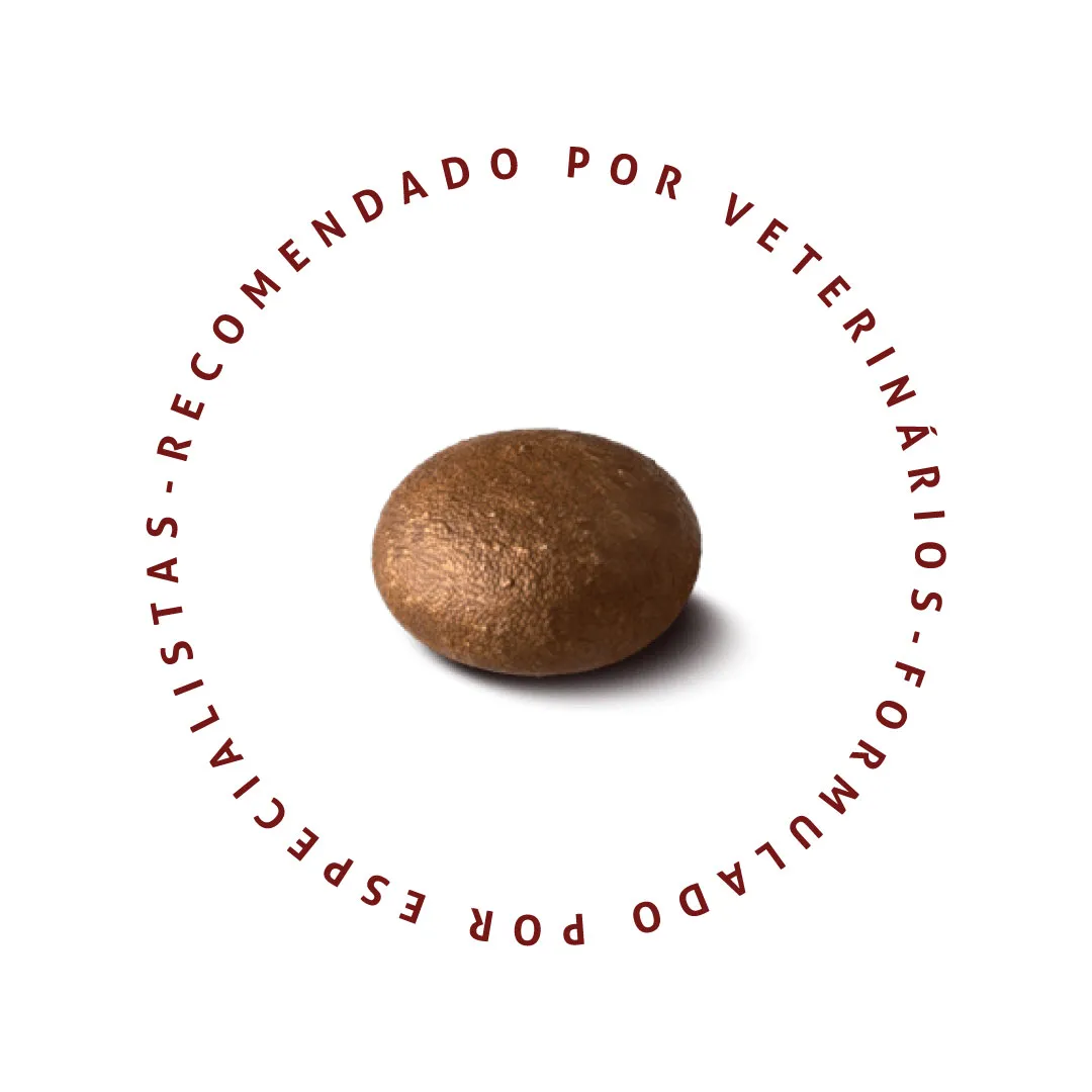 Ração Special Cat Ultralife para Gatos Filhotes Sabor Salmão 1Kg