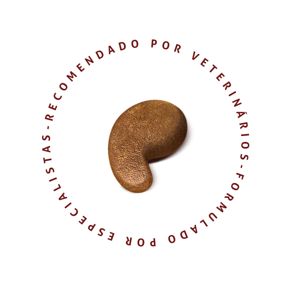 Ração Special Dog Ultralife para Cães Adultos de Raças Pequenas Sabor Cordeiro 3Kg