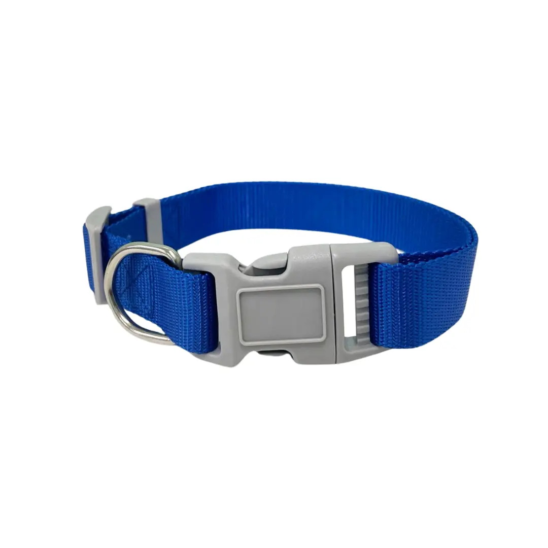 Coleira Azul 2,5cm para Cães GR223888 Pet Next