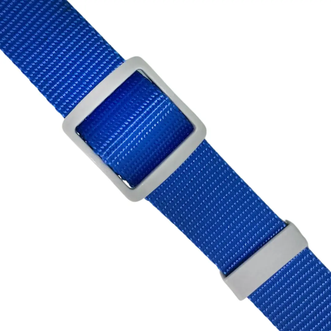 Coleira Azul 2,5cm para Cães GR223888 Pet Next